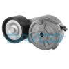 DAYCO APV1130 Belt Tensioner, v-ribbed belt